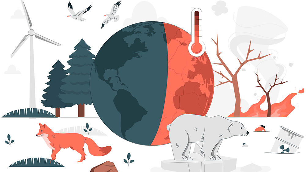 ¿Cómo evitar el cambio climático? 10 soluciones para frenar el cambio